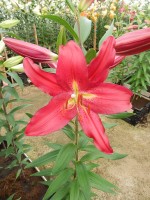 [4357 Gran Tourismo DJ No02.JPG]